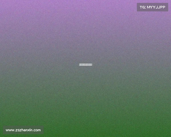 十三届全运会排行榜