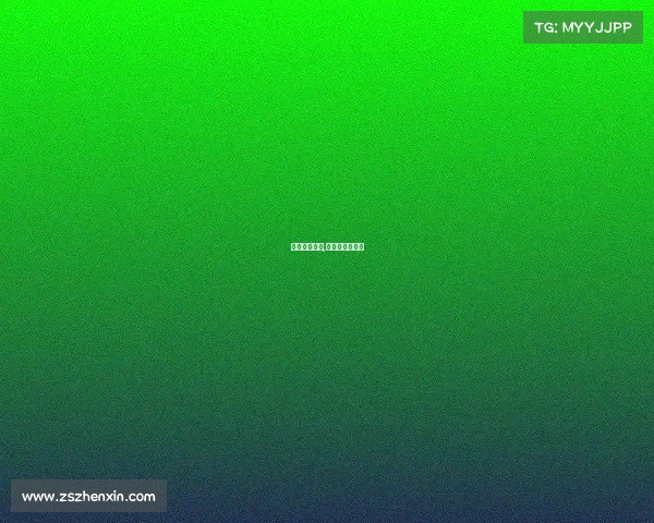 拳击赛事收入,国内拳击手收入